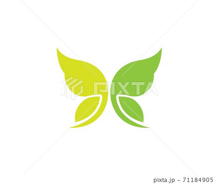 butterfly logo vector template design butterfly logo vector template design 71184905