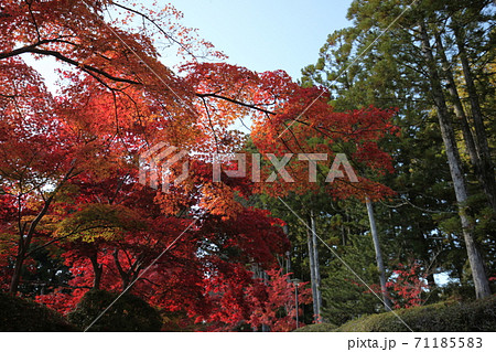 秋の高野山 秋の高野山 71185583