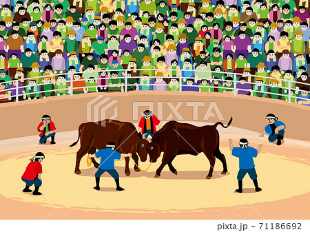 日本の闘牛 日本の闘牛 71186692