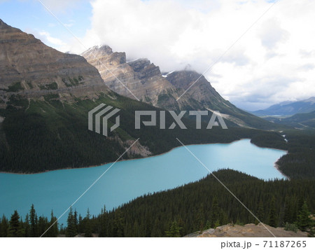 ペイトレイク Peyto Lake ペイトレイク Peyto Lake 71187265
