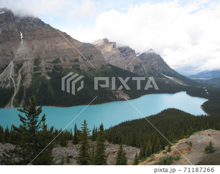 ペイトレイク Peyto Lake ペイトレイク Peyto Lake 71187266