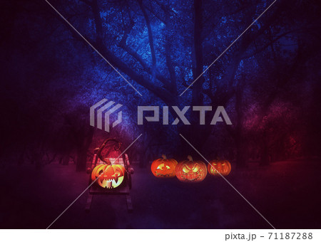 Halloween pumpkins in the garden 71187288