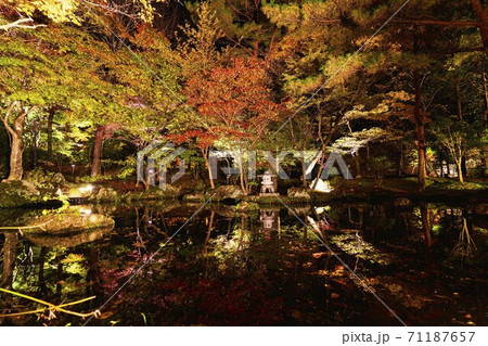 紅葉のライトアップ　天守閣自然公園　仙台市太白区 71187657