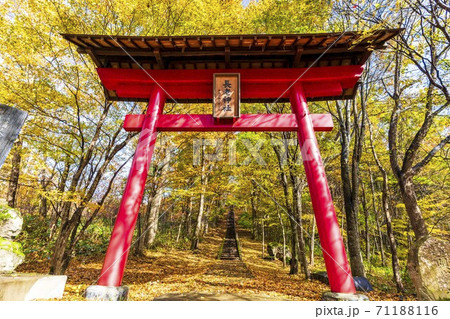 雨上がりの長老神社の風景 紅葉 宮城県七ヶ宿町 雨上がりの長老神社の風景 紅葉 宮城県七ヶ宿町 71188116