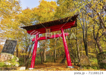 雨上がりの長老神社の風景 紅葉 宮城県七ヶ宿町 雨上がりの長老神社の風景 紅葉 宮城県七ヶ宿町 71188124