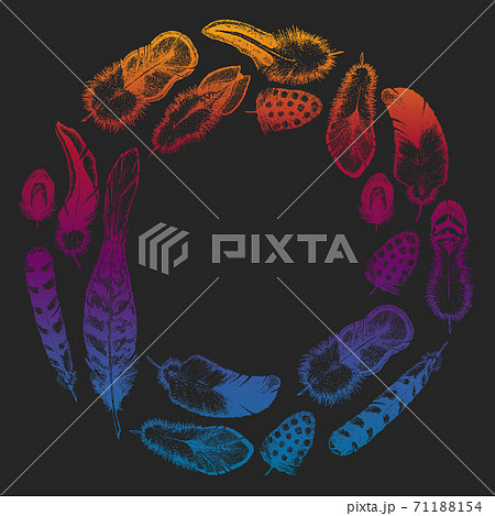 Set of ethnic feathers. Decoration design. Birds feathers, boho chic style. Tribal ornament pattern. Set of ethnic feathers. Decoration design. Birds feathers, boho chic style. Tribal ornament pattern. 71188154