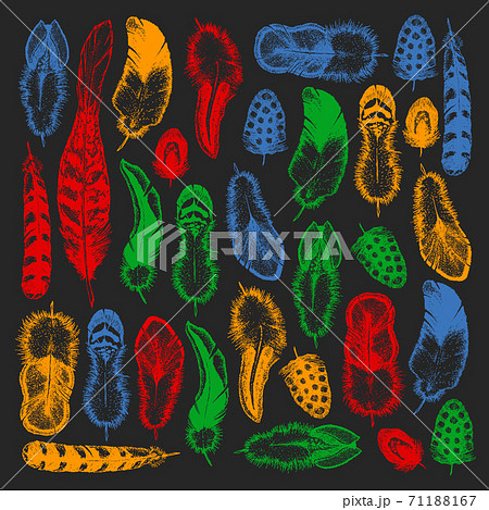 Set of ethnic feathers. Decoration design. Birds feathers, boho chic style. Tribal ornament pattern. Set of ethnic feathers. Decoration design. Birds feathers, boho chic style. Tribal ornament pattern. 71188167