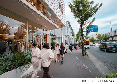 人と街 代官山 若い女性で賑わう旧山手通り 東京都渋谷区 人と街 代官山 若い女性で賑わう旧山手通り 東京都渋谷区 71188903
