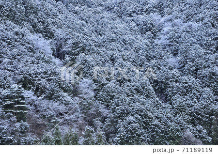 冬の丹沢山地 霧氷の朝の寄 71189119