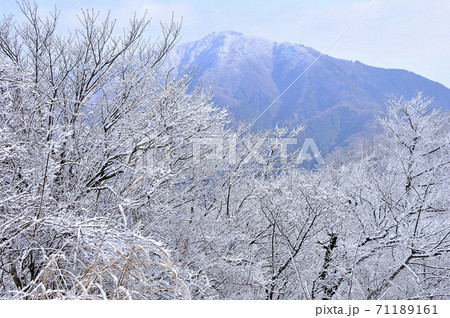 丹沢 雪景色の三ノ塔より大山 71189161