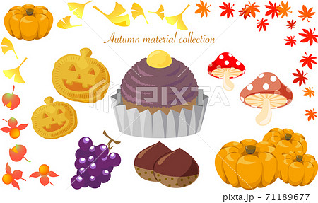 秋の植物や食べ物のイラストセットのイラスト素材