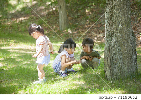 木漏れ日の中で虫を探す子供達の写真素材