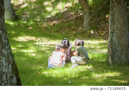 木漏れ日の中で虫を探す子供達 木漏れ日の中で虫を探す子供達 71190655