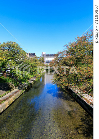富山市・いたち川の風景・夏 71190867