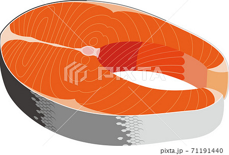 鮭の切り身のイラスト素材