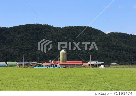 北海道 オホーツク地方 牧場のある風景 北海道 オホーツク地方 牧場のある風景 71191474