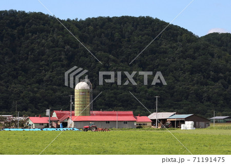 北海道 オホーツク地方 牧場のある風景 北海道 オホーツク地方 牧場のある風景 71191475