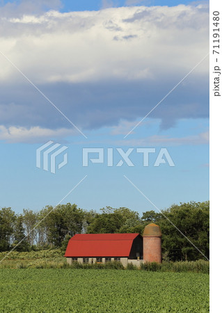 北海道 オホーツク地方 牧場のある風景 北海道 オホーツク地方 牧場のある風景 71191480