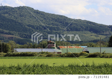 北海道 オホーツク地方 牧場のある風景 北海道 オホーツク地方 牧場のある風景 71191481