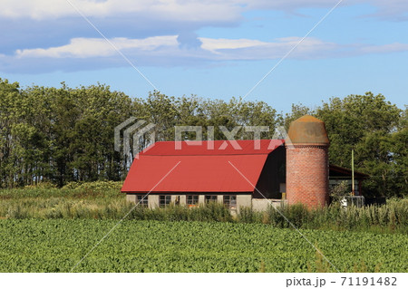 北海道　オホーツク地方　牧場のある風景 71191482