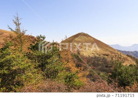 10月の野辺山高原ハイキング・山梨、日本 10月の野辺山高原ハイキング・山梨、日本 71191715