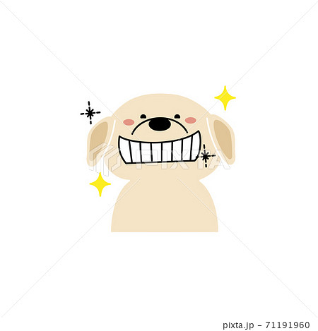 歯がキラキラしているレトリバー 71191960