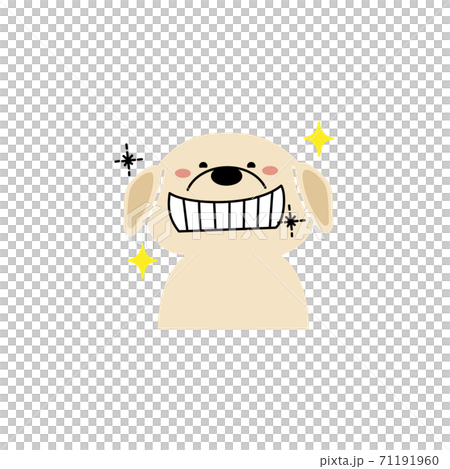 歯がキラキラしているレトリバー 71191960