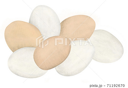 タマゴのイラスト たまご 玉子 卵のイラスト素材 71192670 Pixta