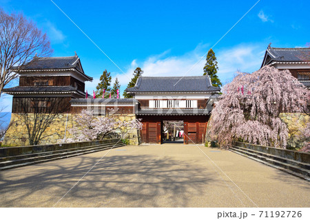 桜景　上田城　 71192726