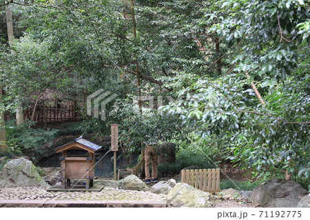 武蔵一ノ宮大宮氷川神社蛇の池 武蔵一ノ宮大宮氷川神社蛇の池 71192775