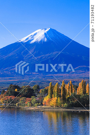 河口湖大橋から望む富士山＆大池公園 71193482