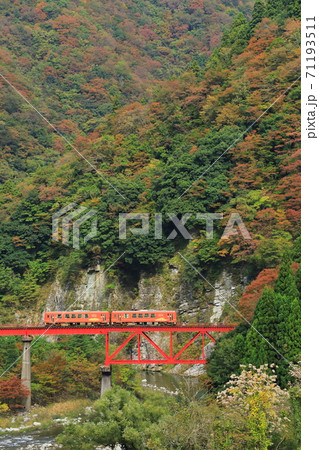 九頭竜川の秋 71193511
