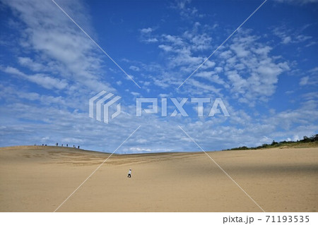 秋の空と砂丘 71193535