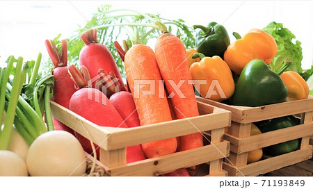 色とりどりの野菜がカラフルおしゃれに陳列してます の写真素材