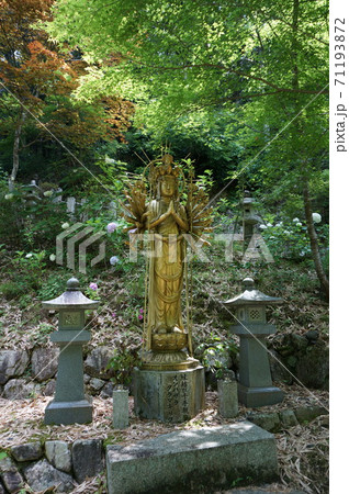 緑の中、金色に輝く縁結千手観音・兵庫県佐用町清林寺・縦位置 71193872