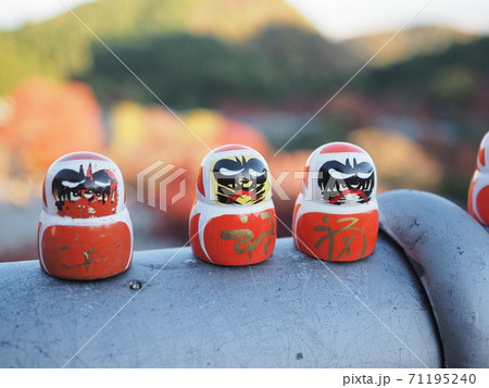 勝尾寺（大阪府）紅葉した山をバックにしたダルマみくじD 71195240