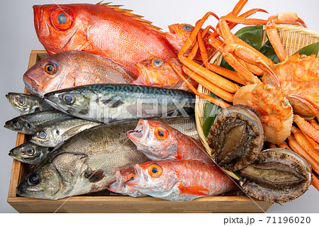魚の盛合せ 魚の盛合せ 71196020