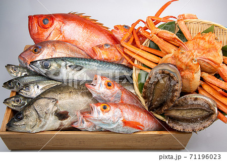 魚の盛合せ 魚の盛合せ 71196023