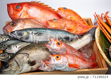 魚の盛合せ 71196024