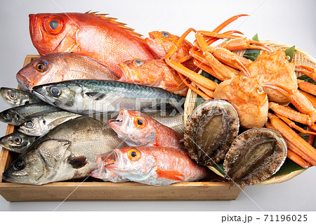 魚の盛合せ 魚の盛合せ 71196025