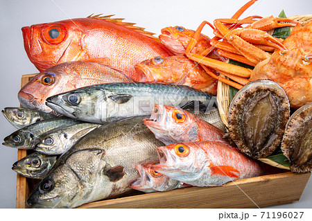 魚の盛合せ 魚の盛合せ 71196027