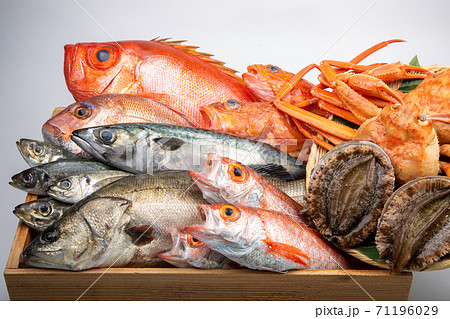 魚の盛合せ 魚の盛合せ 71196029