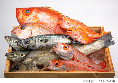 魚の盛合せ 71196030