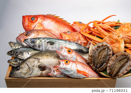 魚の盛合せ 魚の盛合せ 71196031