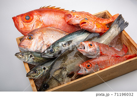 魚の盛合せ 魚の盛合せ 71196032