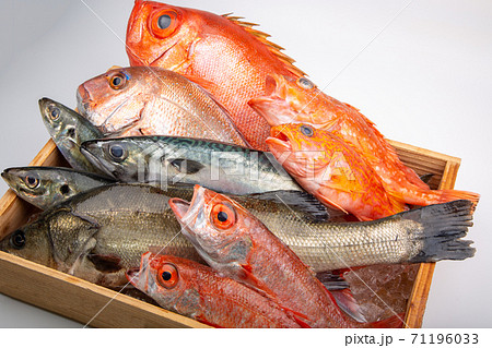 魚の盛合せ 魚の盛合せ 71196033