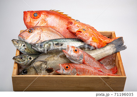 魚の盛合せ 魚の盛合せ 71196035