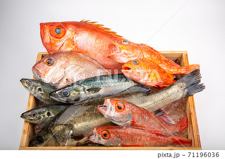 魚の盛合せ 魚の盛合せ 71196036