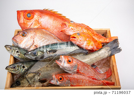 魚の盛合せ 71196037