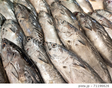 SEREMBAN, MALAYSIA -JANUARY 20, 2020: Various types of fish in the fish market are displayed for sale. Separated according to species and neatly arranged on ice. SEREMBAN, MALAYSIA -JANUARY 20, 2020: Various types of fish in the fish market are displayed for sale. Separated according to species and neatly arranged on ice. 71196626
